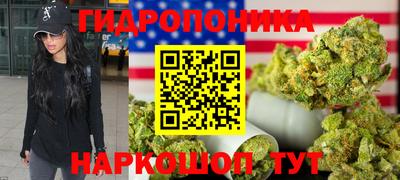 МДПВ Гусев