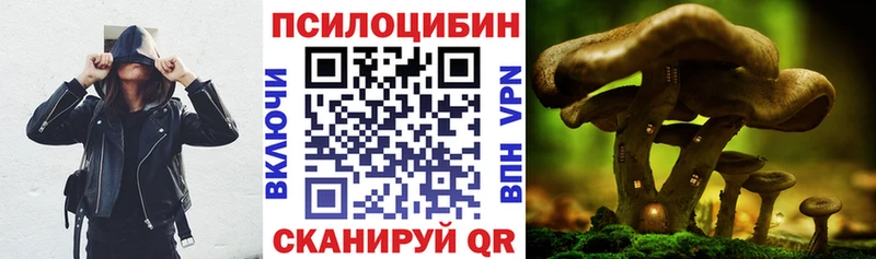 Галлюциногенные грибы Magic Shrooms  Кирово-Чепецк 